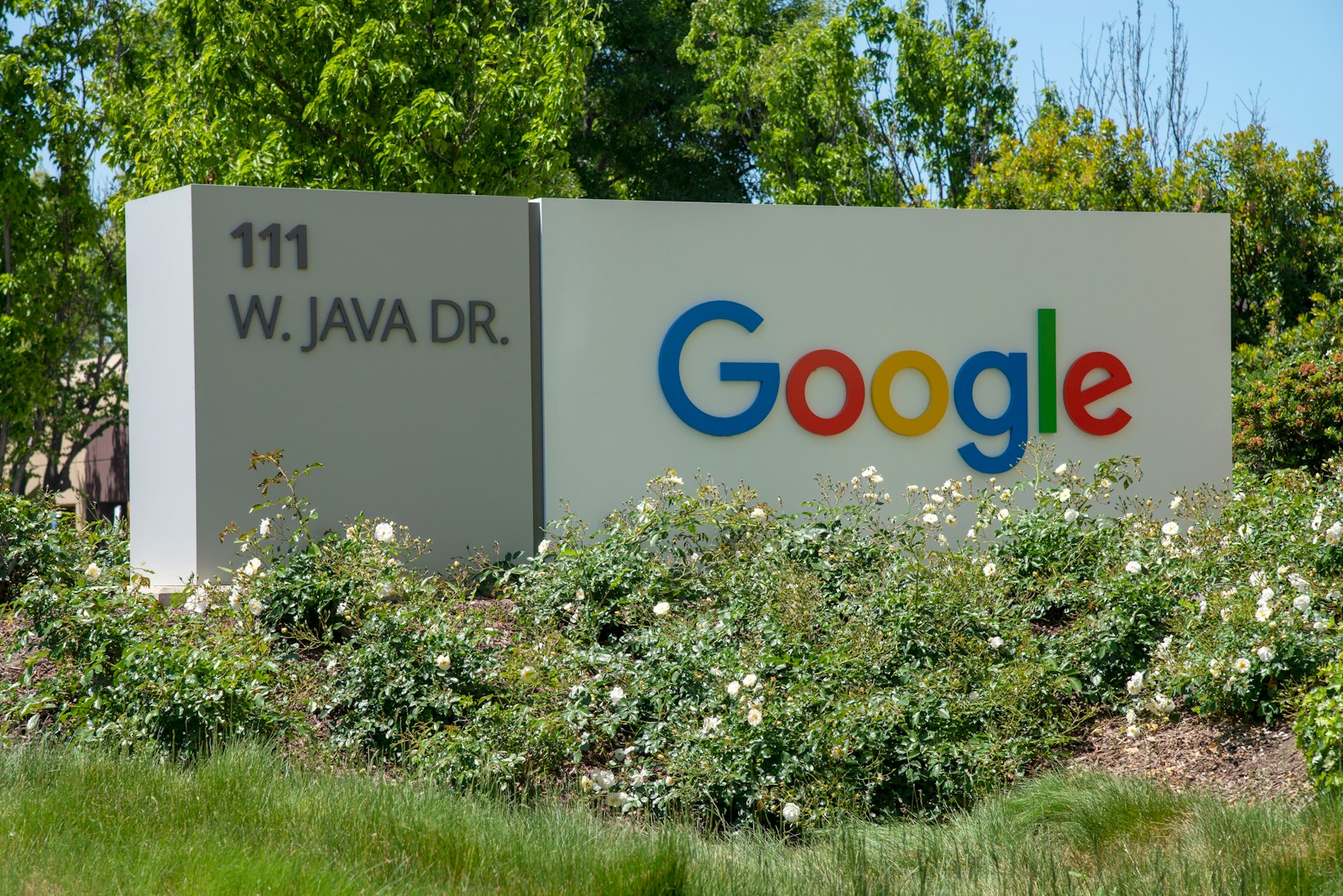 Google, AI e Windsurf: La Storia Incredibile del Deal che Ha Sconvolto il Mercato Tech